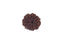 Patanjali 7 Mukhi Rudraksha Without Cap